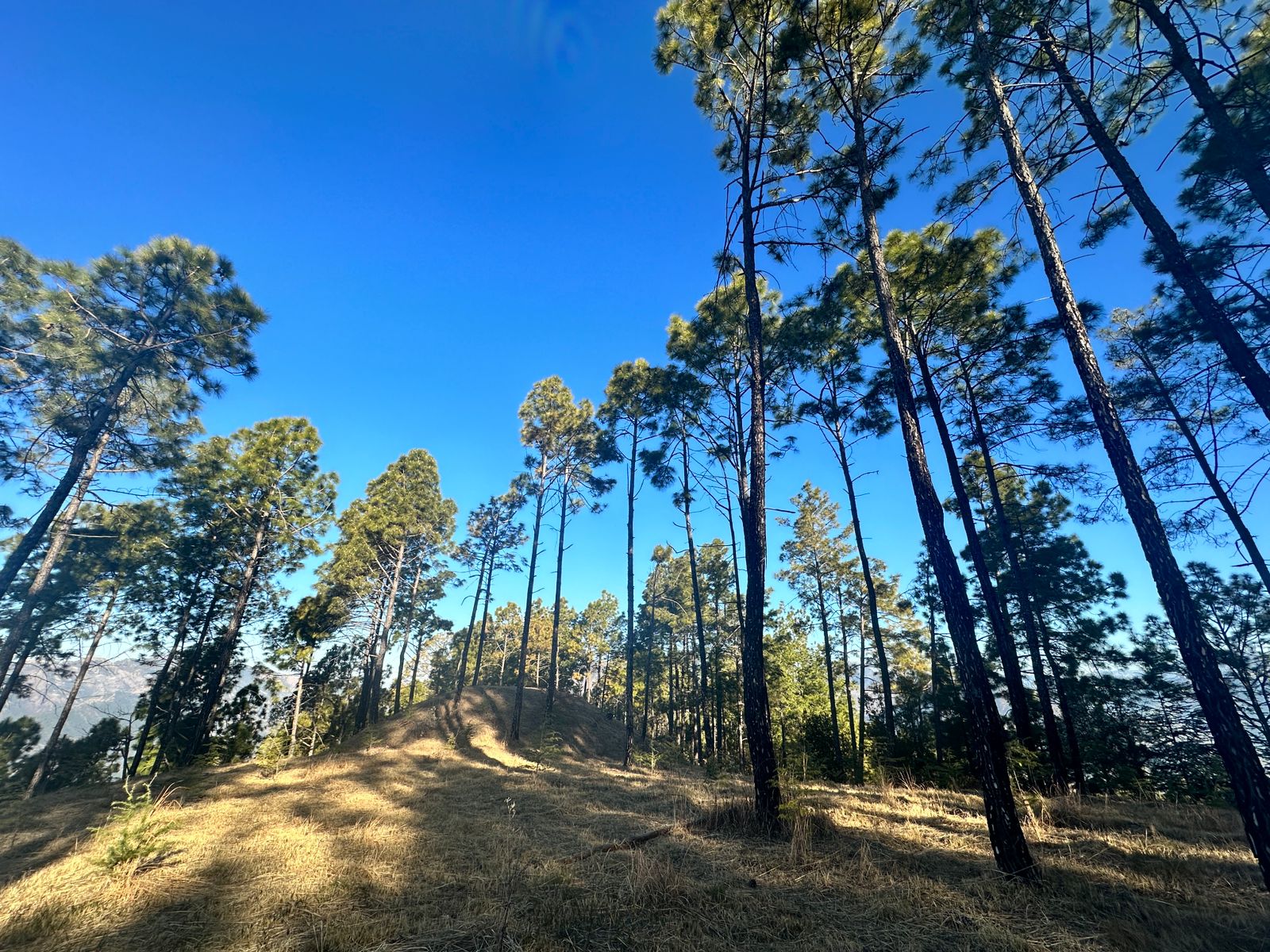 WhatsApp Image 2025-05-06 at 15.07.15_73303877