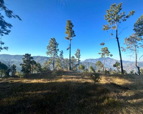 IMG-20250506-WA0008 IMG-20250506-WA0008